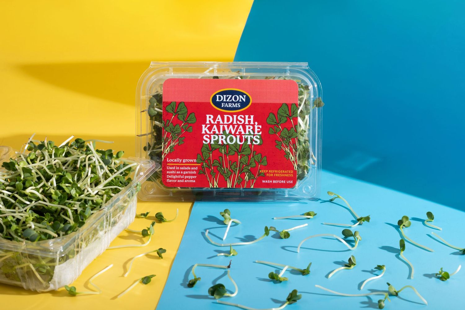 dizon-07-15-22-radish-4-cf2b85ce