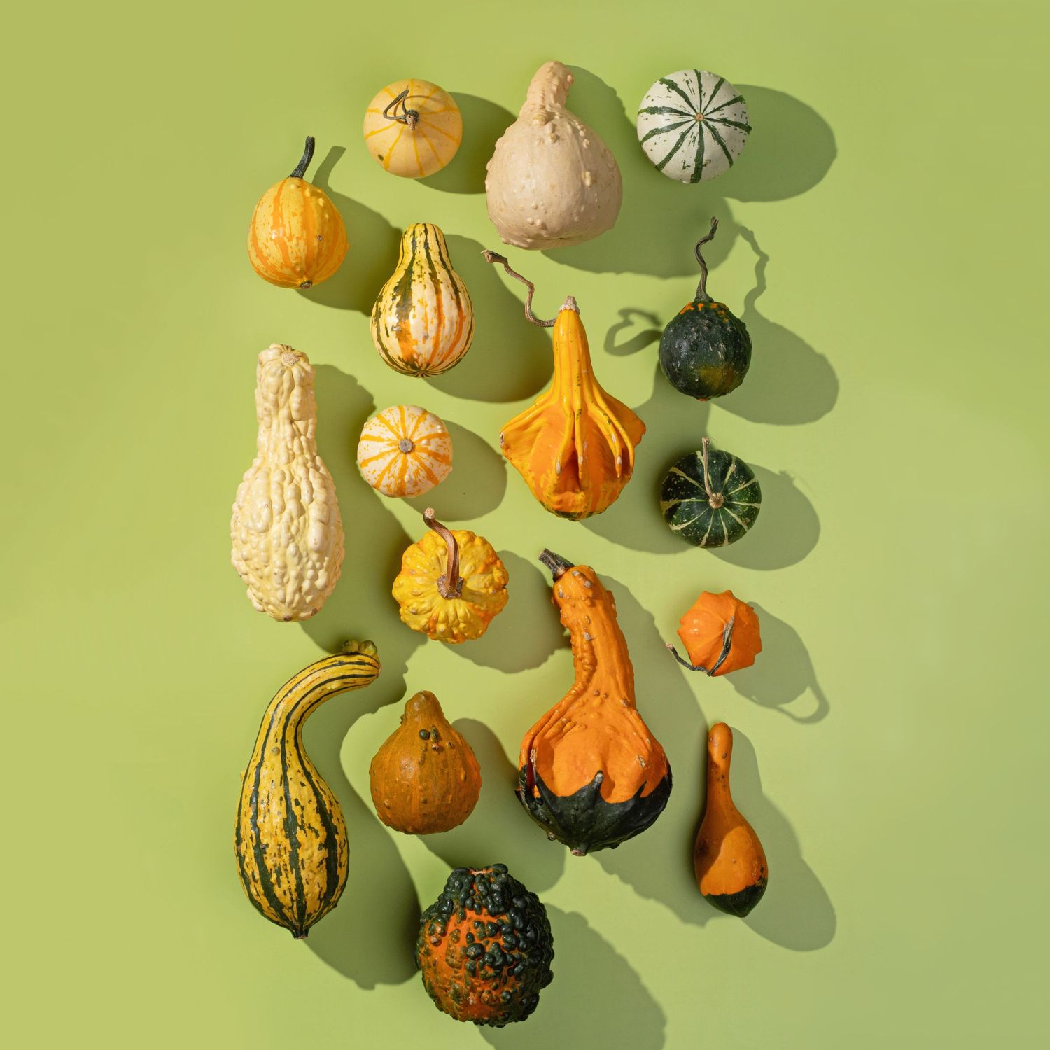 Food Photography Series